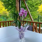 Ksilifor Veliko Tarnovo