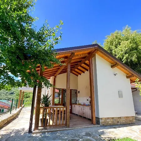 Ksilifor Veliko Tarnovo