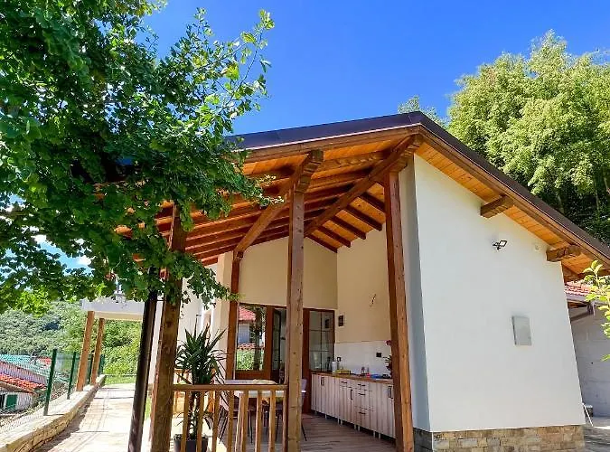 Ksilifor Veliko Tarnovo